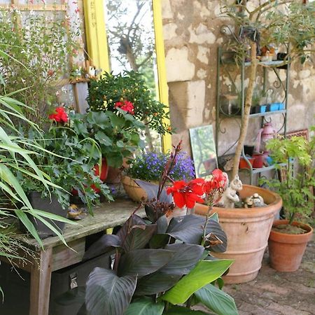 Les Petites Mirabelles Bed and Breakfast Noyers-sur-Cher Exteriör bild