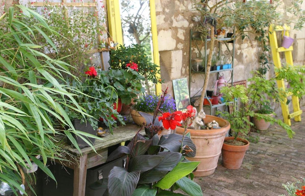 Les Petites Mirabelles Bed and Breakfast Noyers-sur-Cher Exteriör bild
